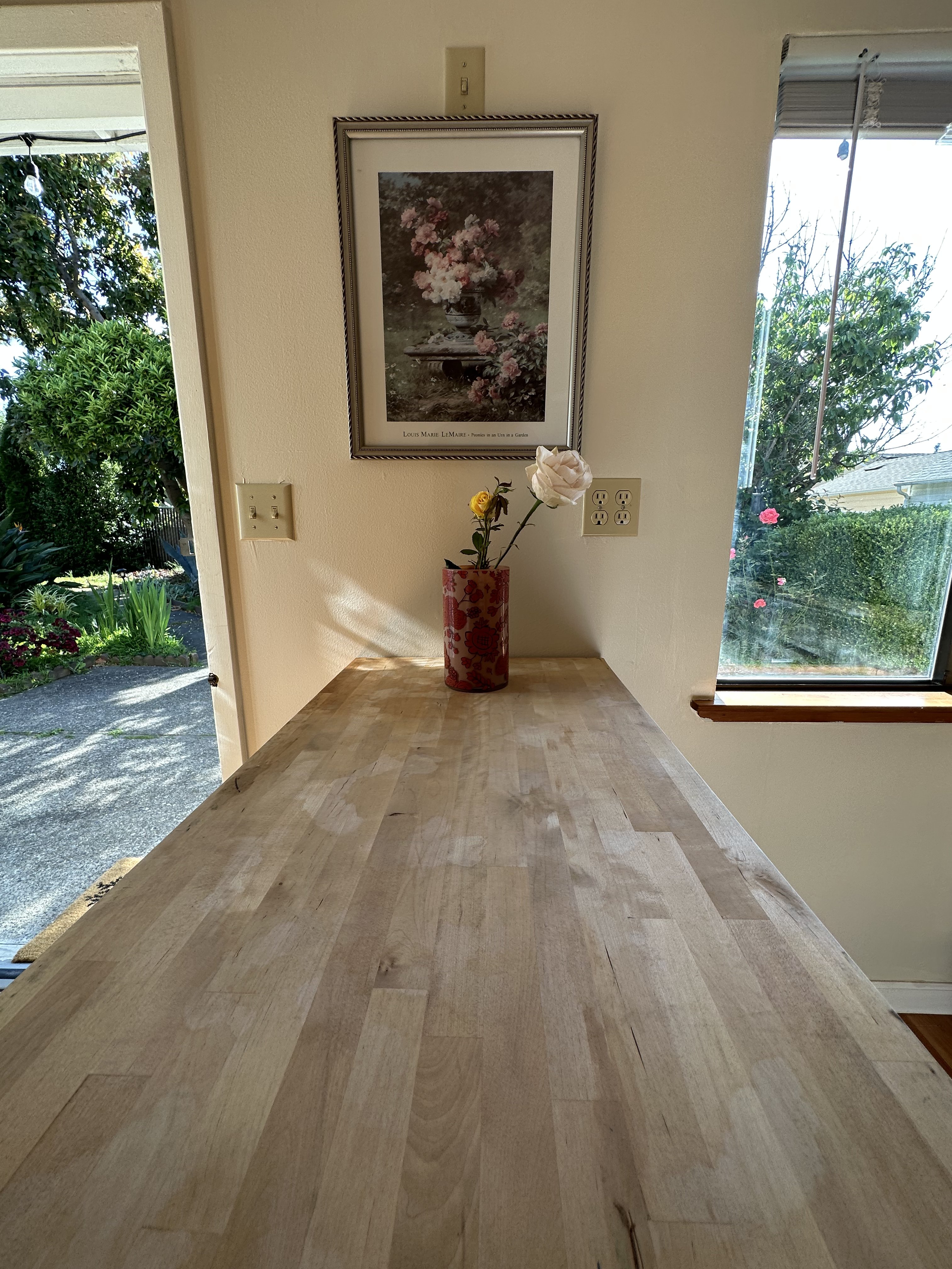 Garden studio kitchen view 3