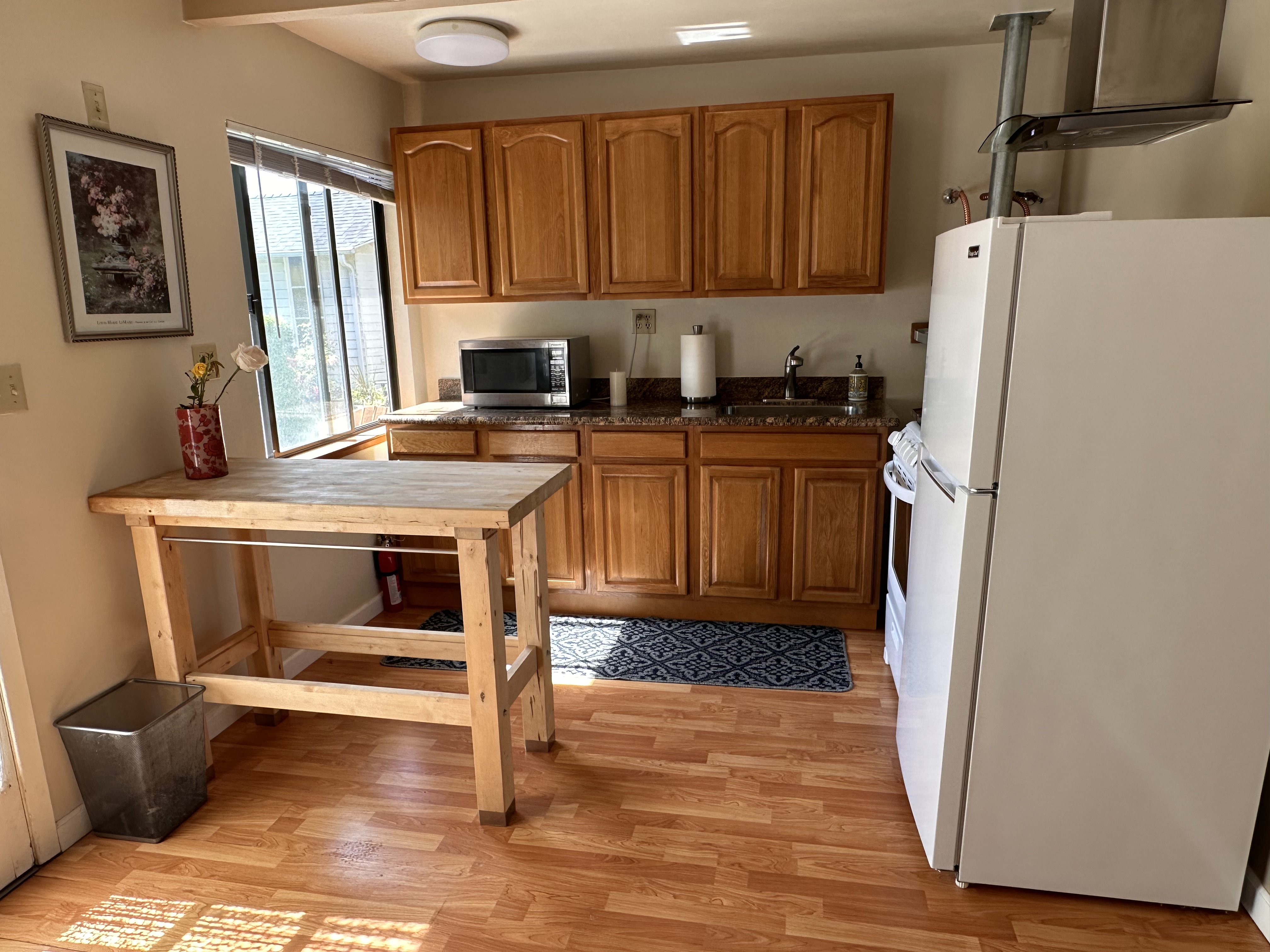 Garden studio kitchen view 4