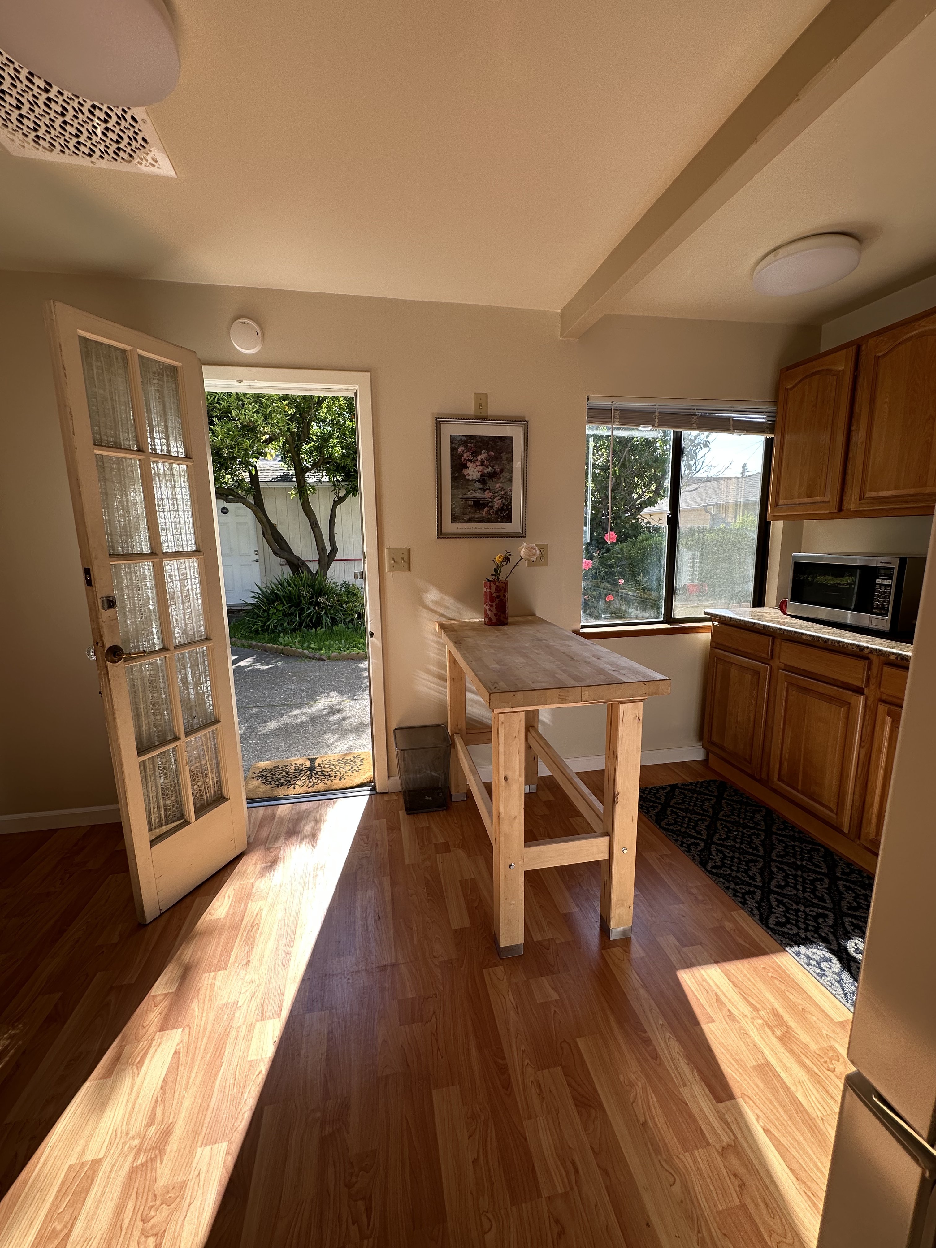 Garden studio kitchen view 7